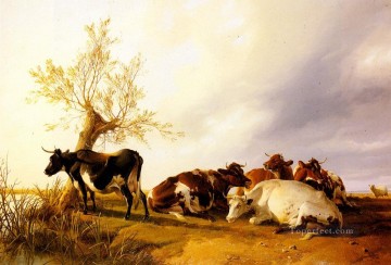  Cooper Pintura - Vacas lecheras Descansando animales de granja ganado Thomas Sidney Cooper